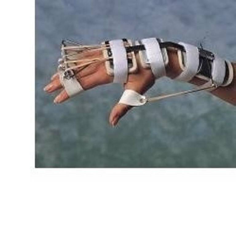 BUNNELL FERULA POLSO/DITA L