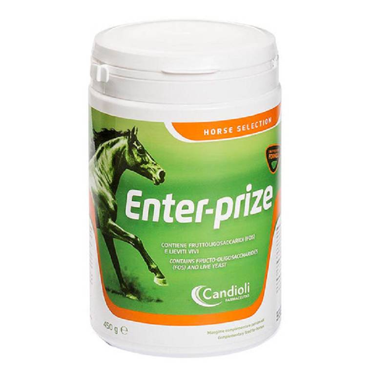 ENTER-PRIZE 450G