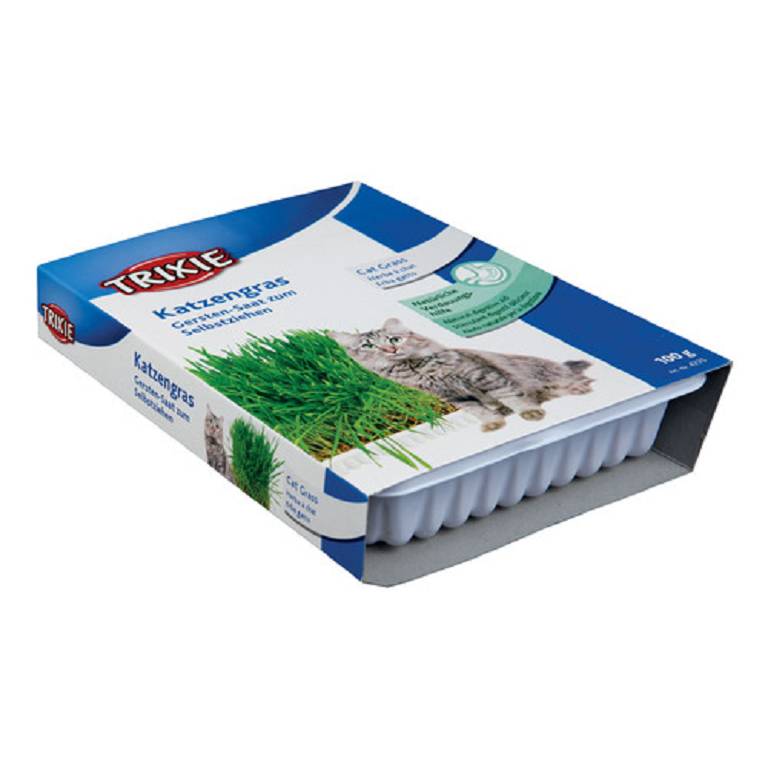 ERBA GATTO CIOTOLA/CA 100GR