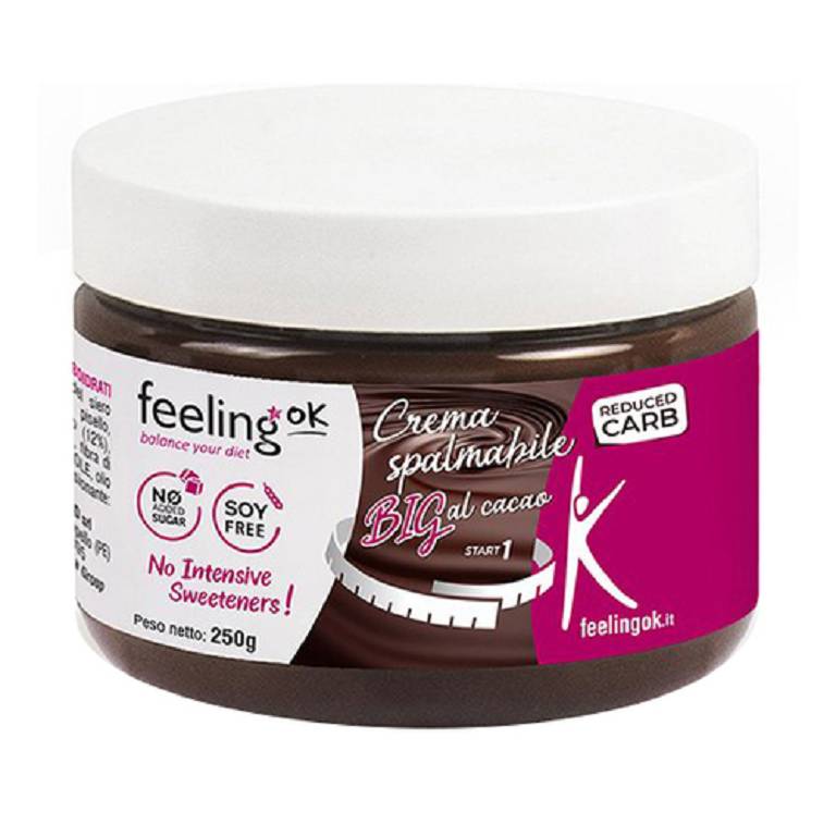 FEELING OK CREMA CACAO BIG250G
