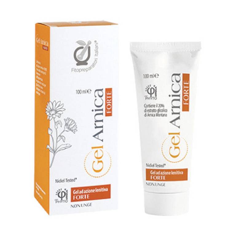 FPI GEL ARNICA 100ML