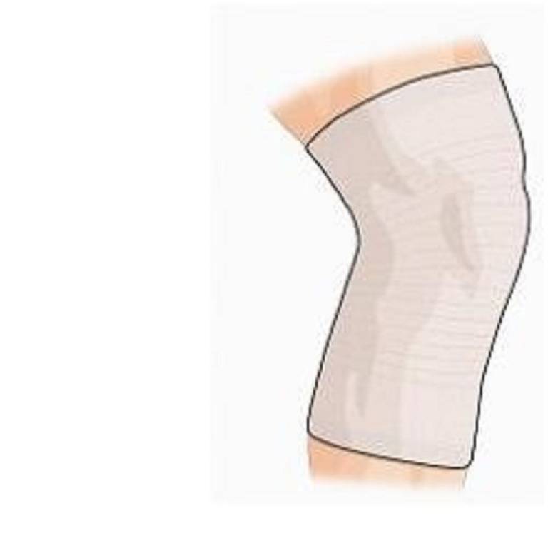 GIBAUD GINOCCH BIEST LAMB 1