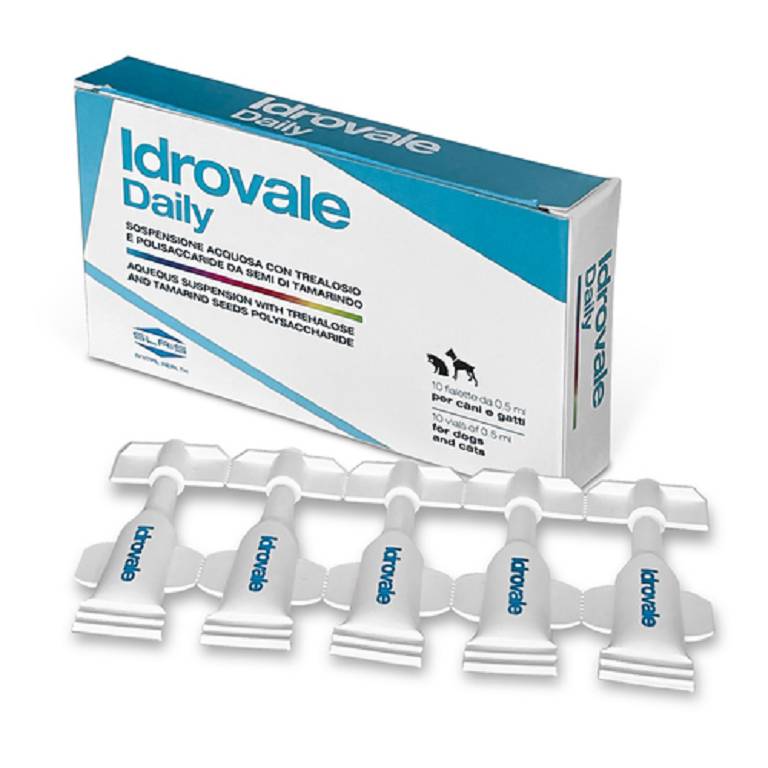 IDROVALE DAILY 10F