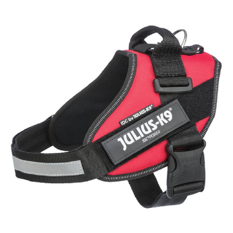 JULIUSK9 IDC PETT ML 5876 RO