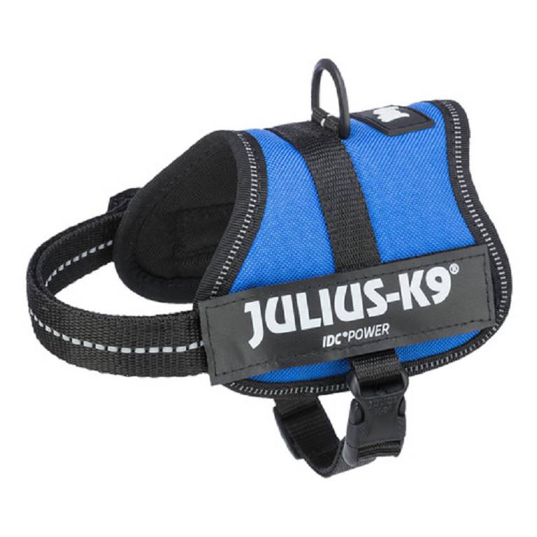 JULIUSK9 PETT B XSS3345 BLU