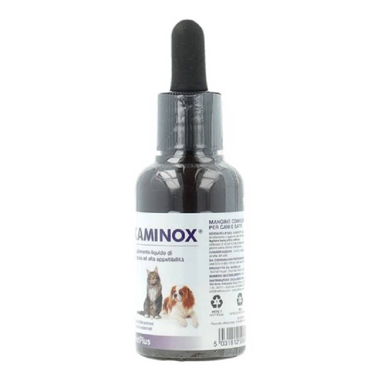 KAMINOX SCIROPPO 60ML