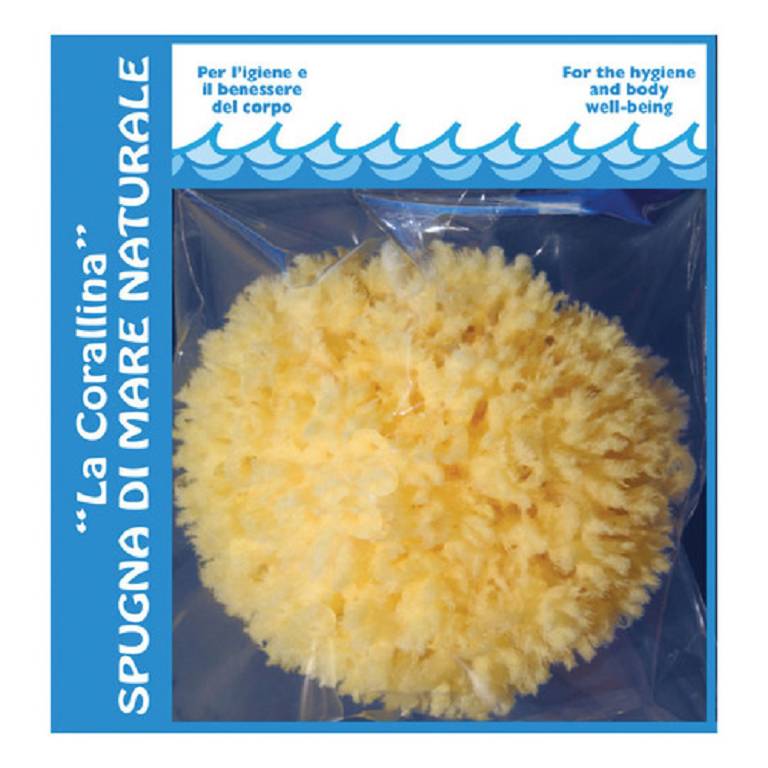 LA CORALLINA SPUGNA MARE AD P