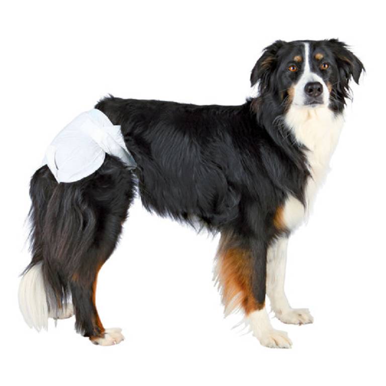 PANNOLINI CANI XL 12PZ