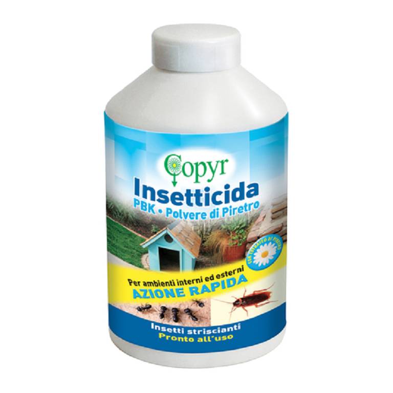 PBK POLV PIRETRO INSETT 250G