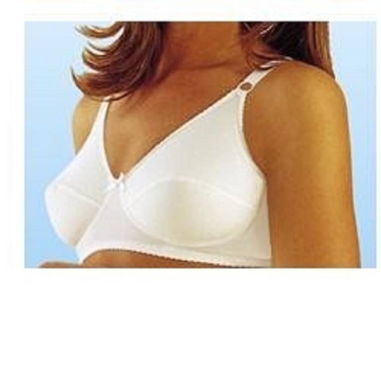 REGGISENO COTTON CLASSIC C 4