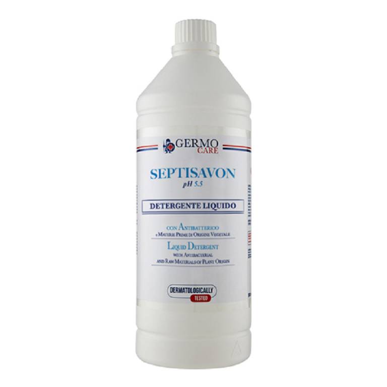 SEPTISAVON DETERGENTE LIQ 1L