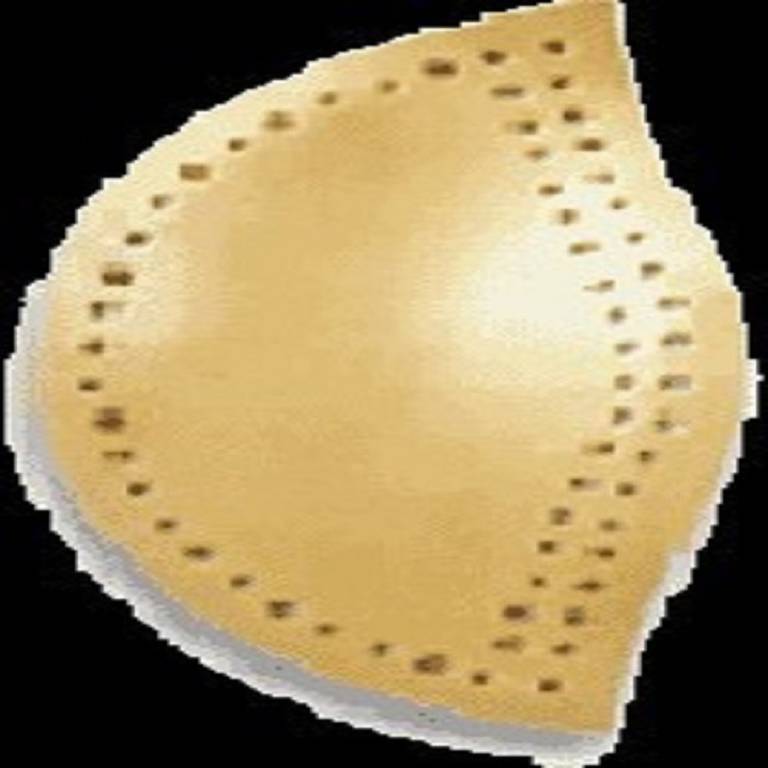 TECNOPED ARCO PLANTARE 2