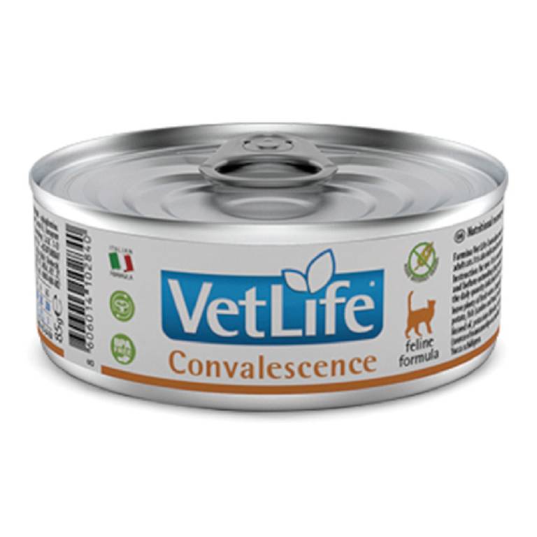 VET LIFE CAT CONVALESCENCE 85G