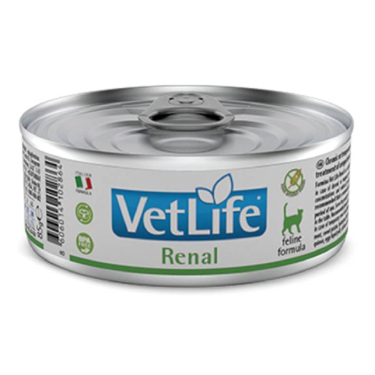 VET LIFE CAT RENAL 85G