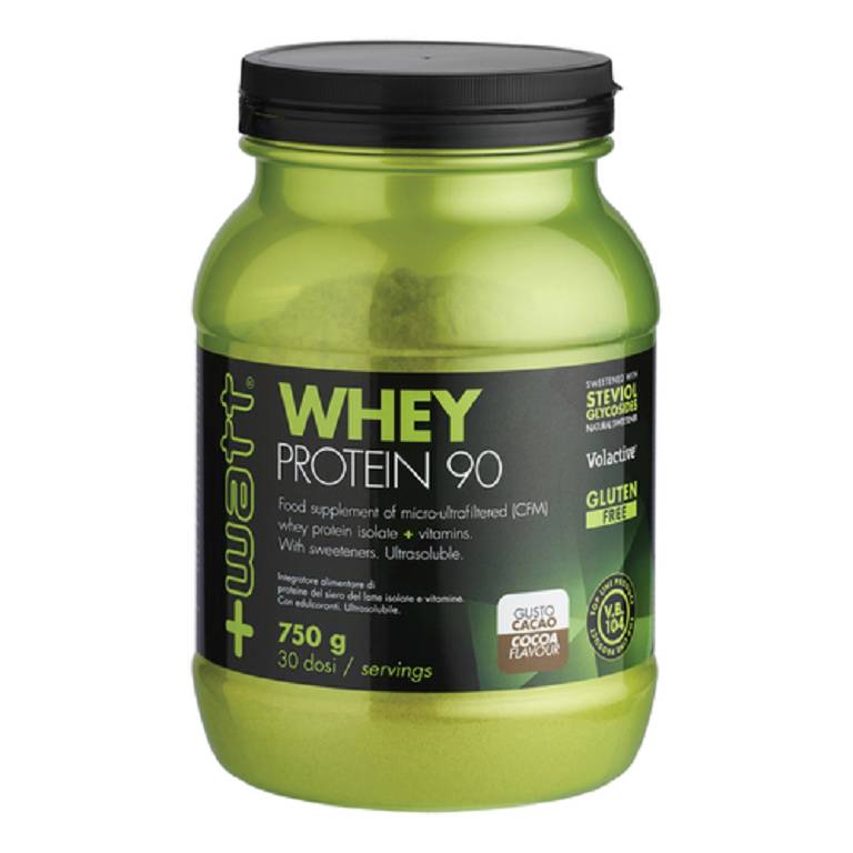WHEY PROTEIN 90 CACA0 750G